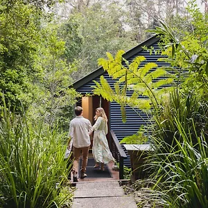 *** Resort Kondalilla Eco Australia